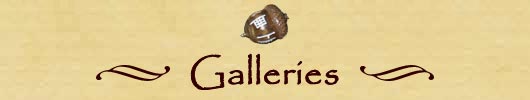 Galleries