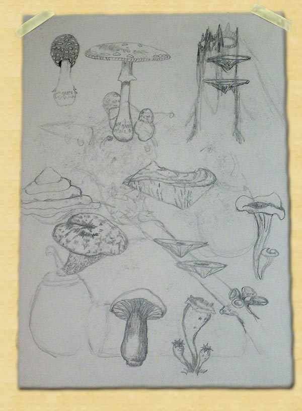 Sketch number 34