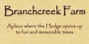 Branchcreek Farm